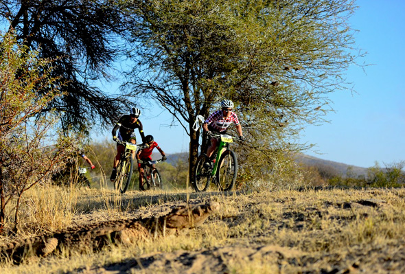 A crocodile busking in the morning sun at Rooiberg as Darren Lill rides past, followed closely by Philip Buys and Max Knox. Photo: www.zcmc.co.za