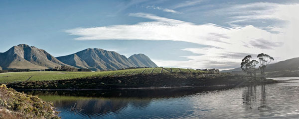 It’s only a 45-minute drive from Cape Town, but at times, when riding the network of purpose-built Wellington trails in the shadow of the Bainskloof, you feel a million miles away from the city grind. Photo: Peartree Photography