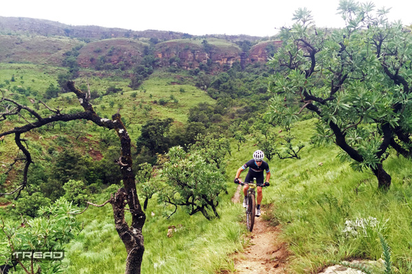 Northern Berg-Alpine Traverse-TreadMTB_3268